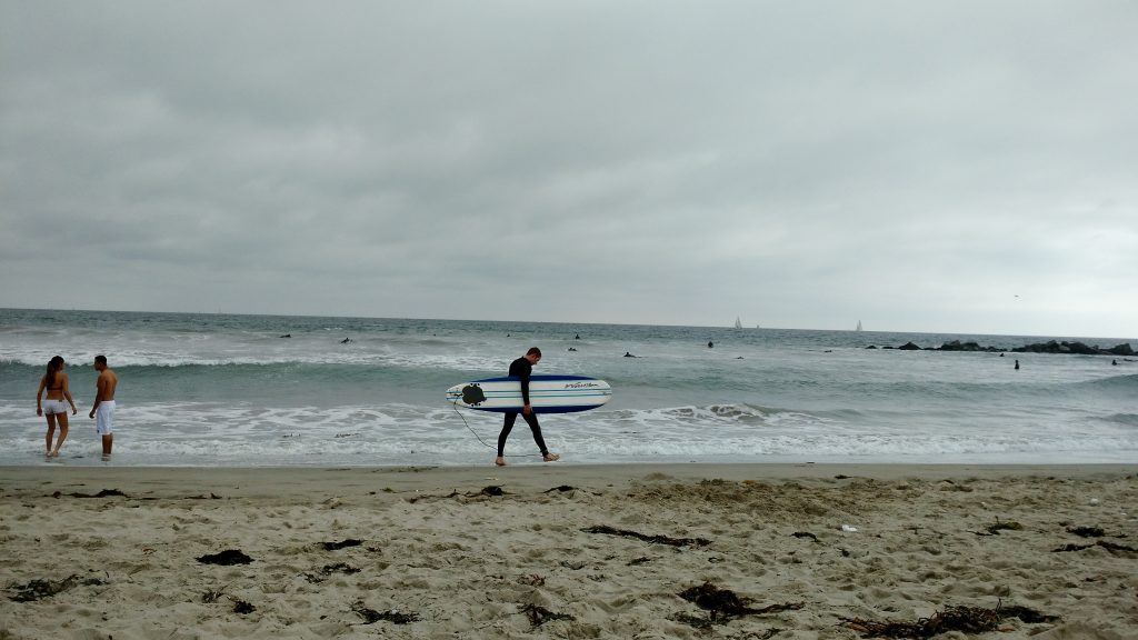 Surfer