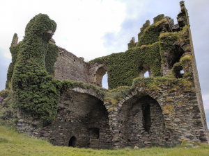 Read more about the article Ballycarberry Castle: Beauty in Ruins