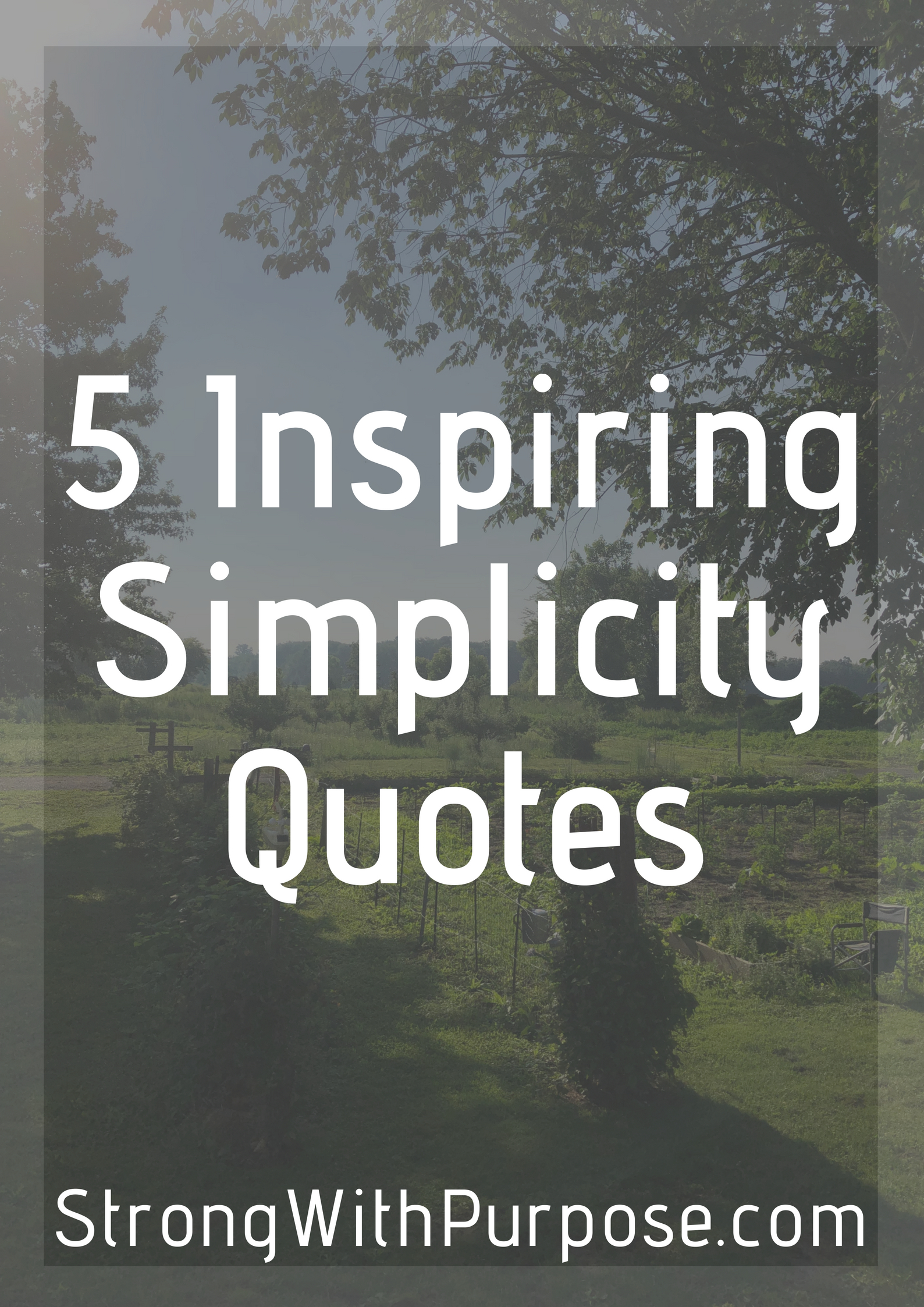 Read more about the article 5 Inspiring Simplicity Quotes