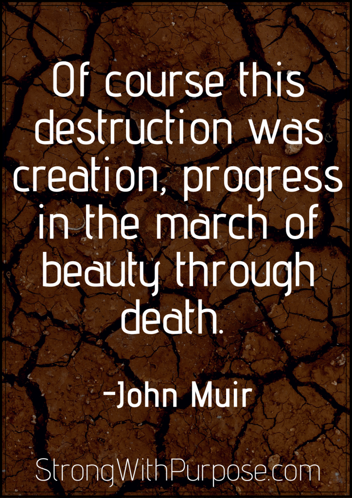 John Muir Quotes Destruction Creation Beauty Death