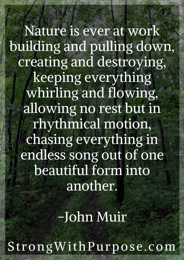 John Muir Quotes Nature Creating Destroying Beautiful
