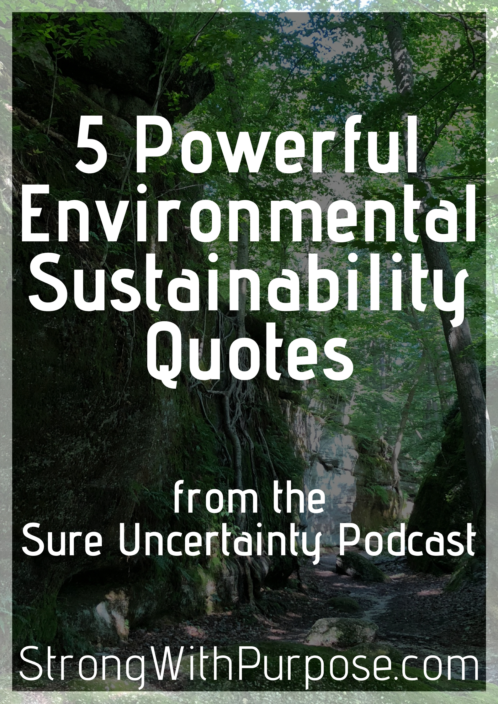 Powerful Environmental Sustainability Quotes Sure Uncertainty Podcast