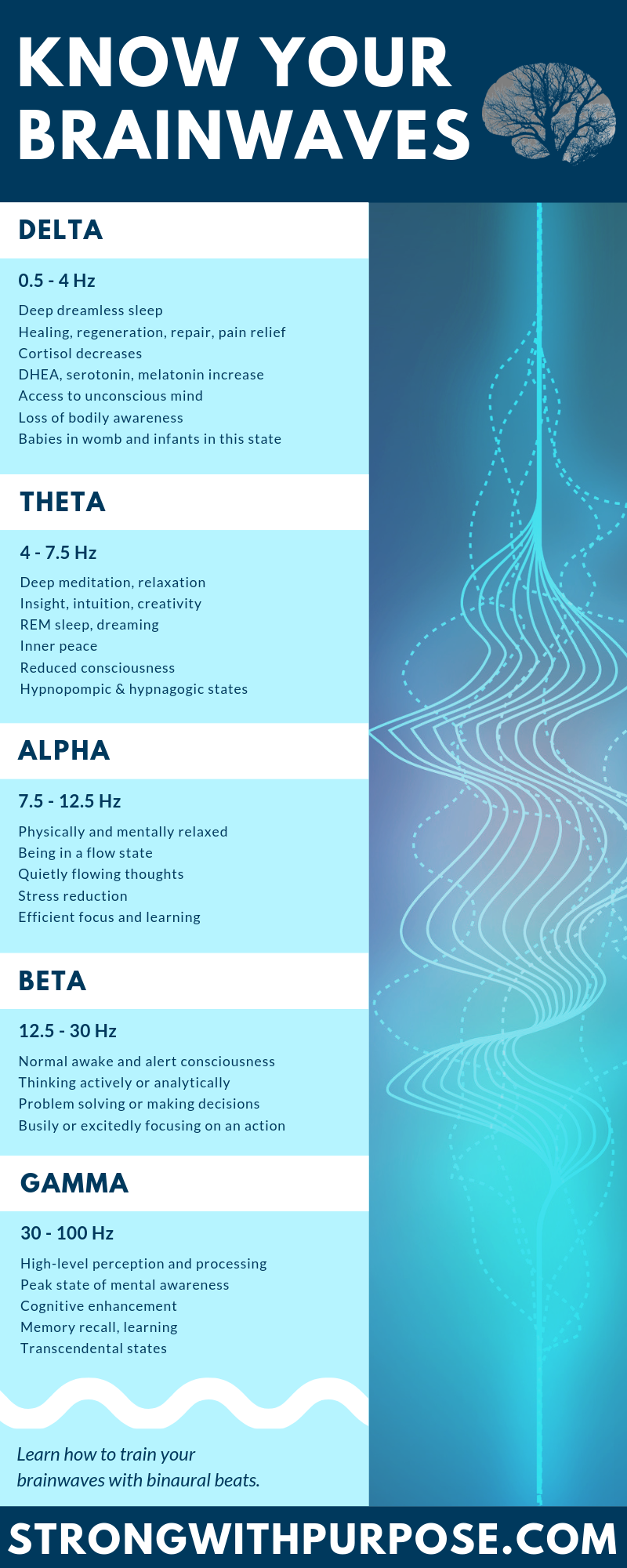 The Science of Brainwaves & Binaural Beats Infographic - Strong with Purpose
