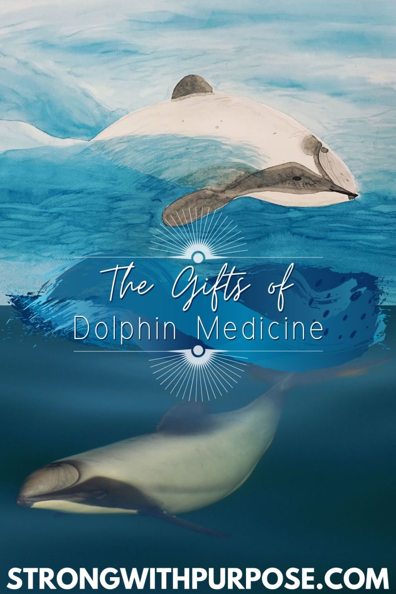 Read more about the article The Gifts of Dolphin Medicine