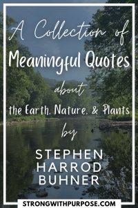 Read more about the article A Collection of Meaningful Quotes about the Earth, Nature, & Plants by Stephen Harrod Buhner