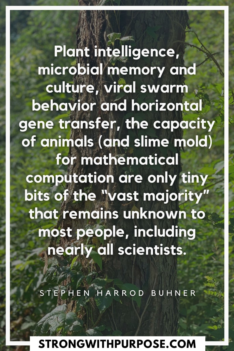 Plant intelligence, microbial memory and culture, viral swarm behavior and horizontal gene transfer - Strong with Purpose