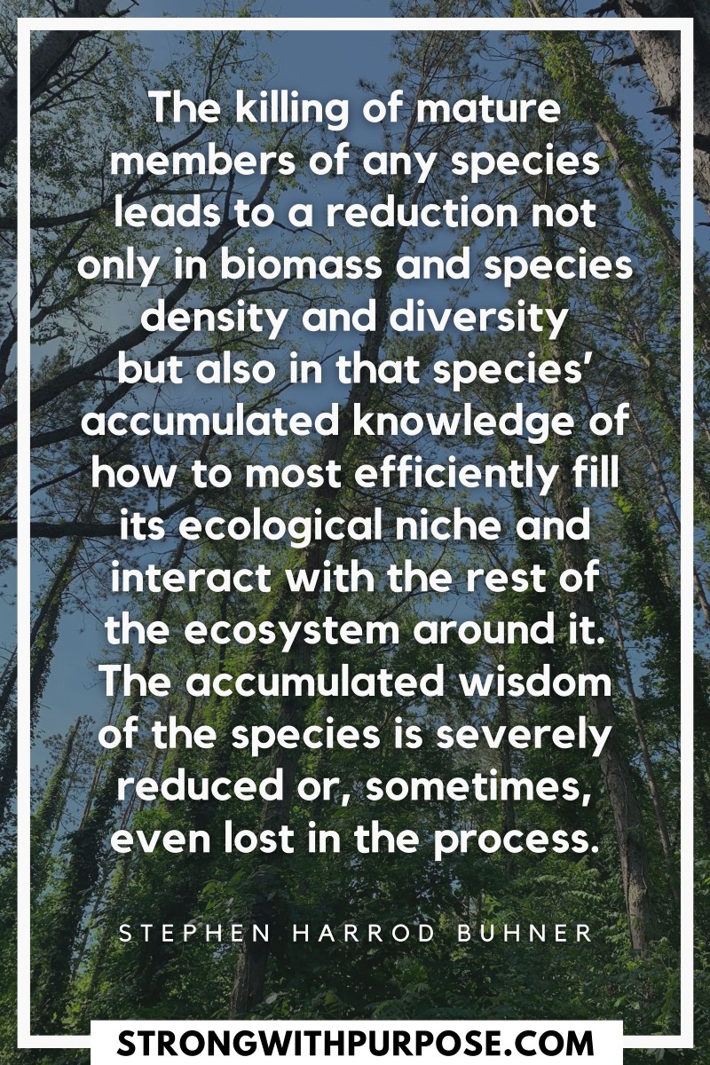 The killing of mature members of any species leads to a reduction not only in biomass and species density and diversity - Strong with Purpose