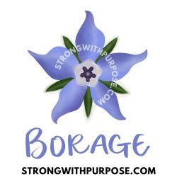 Borage