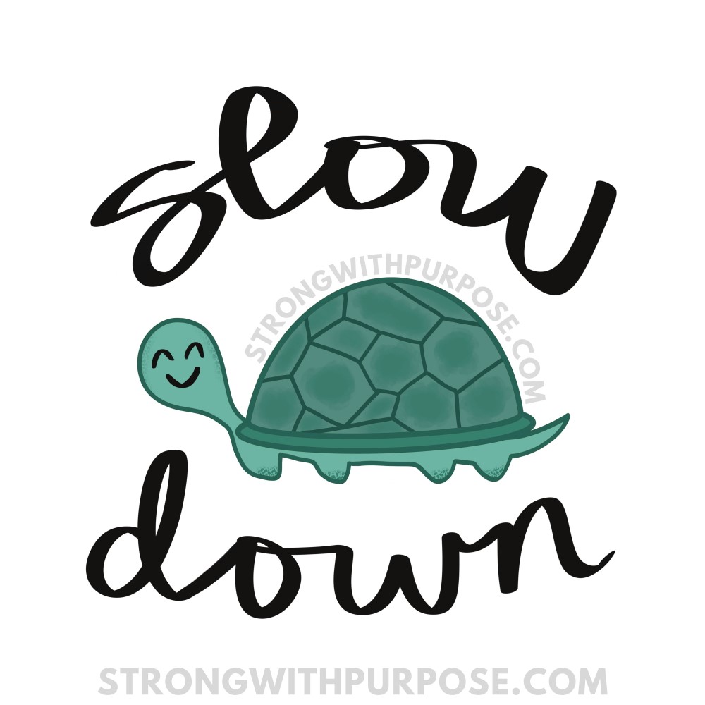 Read more about the article Slow Down: Lessons from a Turtle