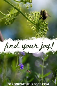Read more about the article Find Your Joy